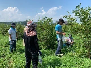 2番目のメイン画像