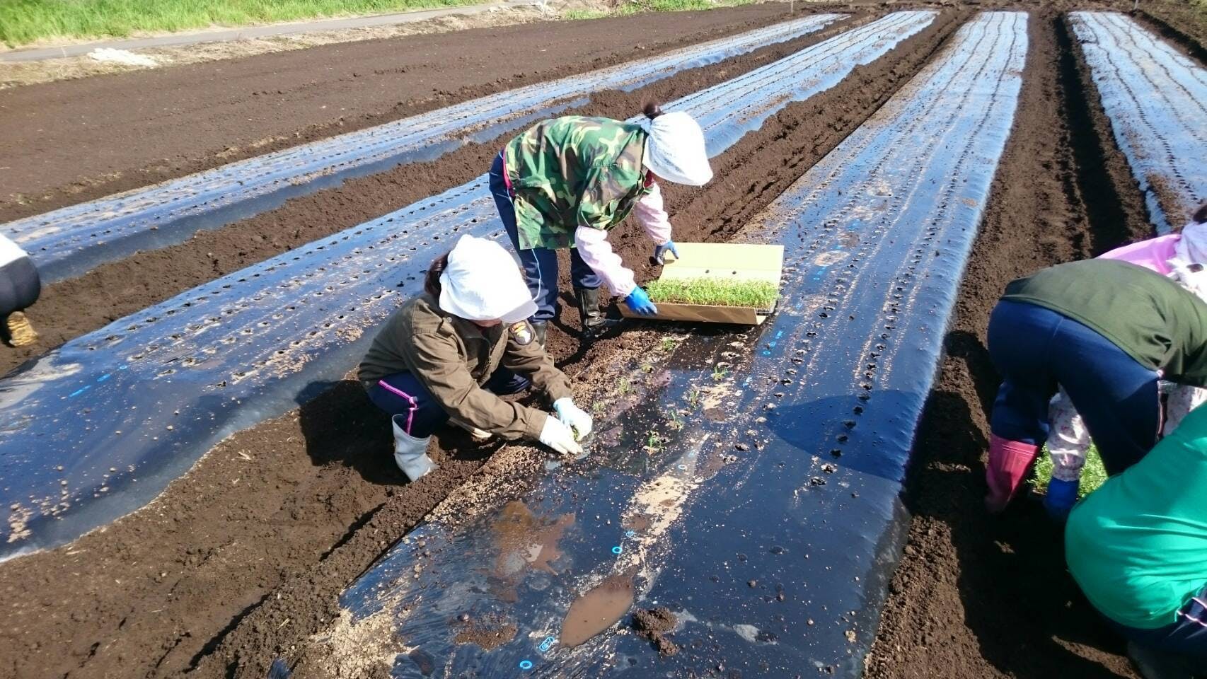 4番目のメイン画像