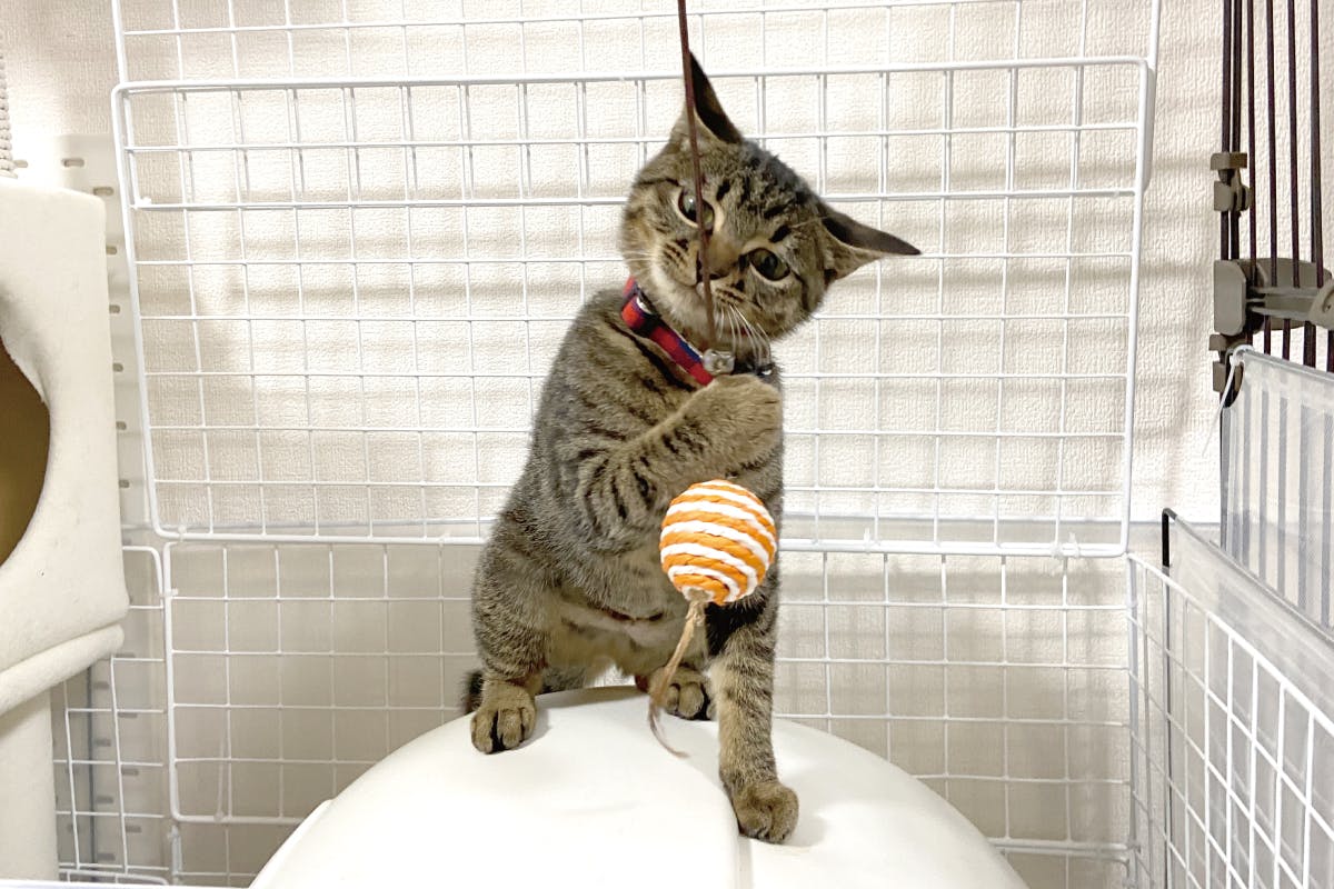 4番目のメイン画像