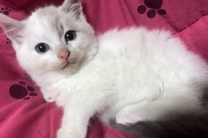 1番目のメイン画像