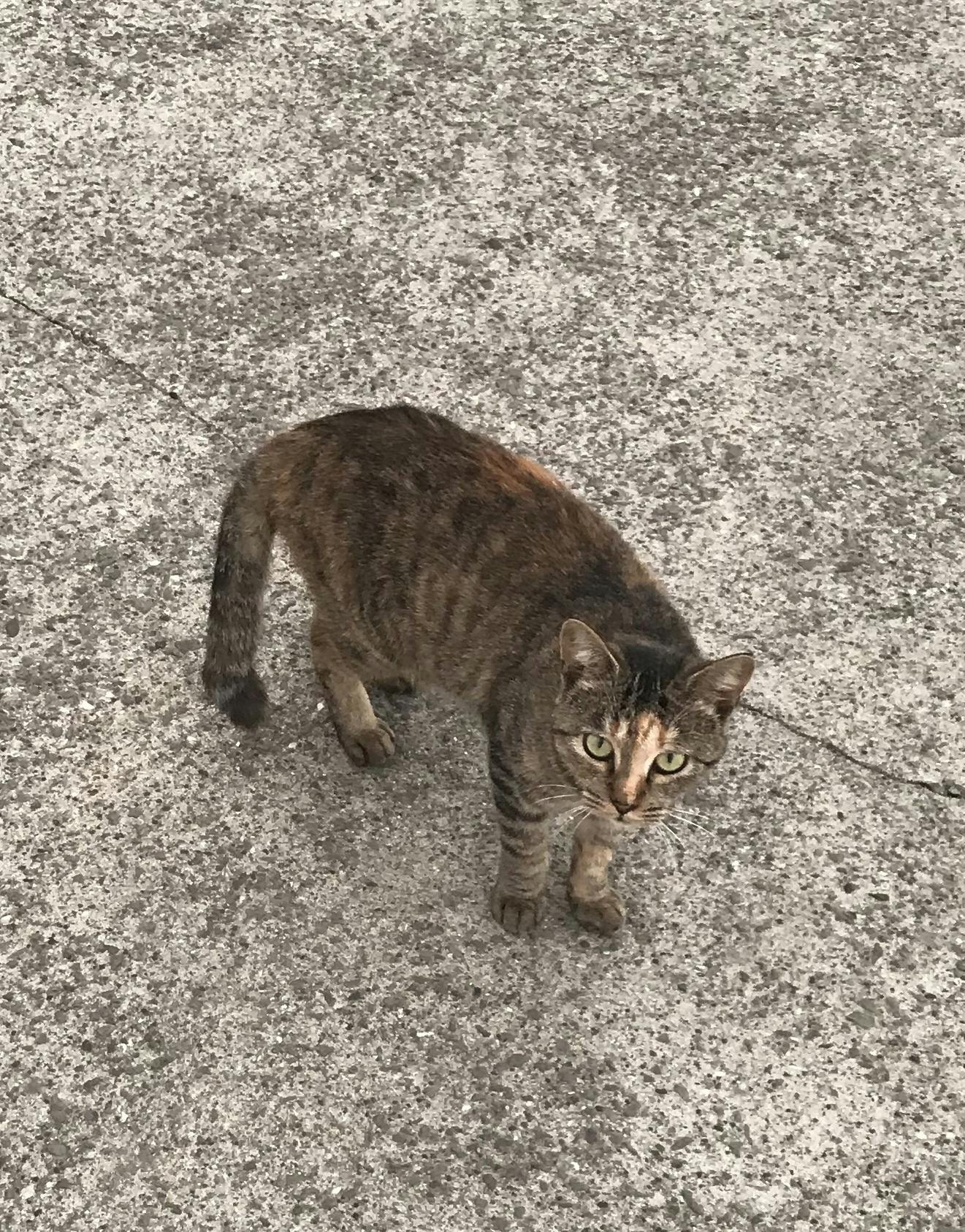 5番目のメイン画像