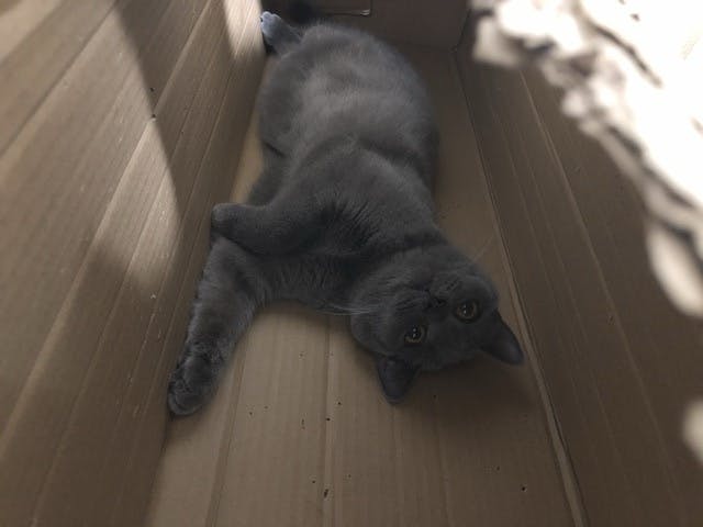 5番目のメイン画像