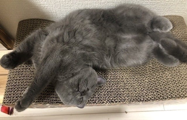 4番目のメイン画像