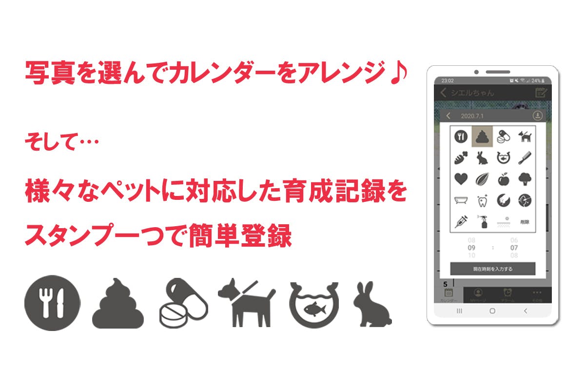 3番目のメイン画像