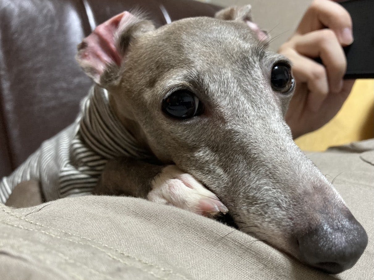 4番目のメイン画像