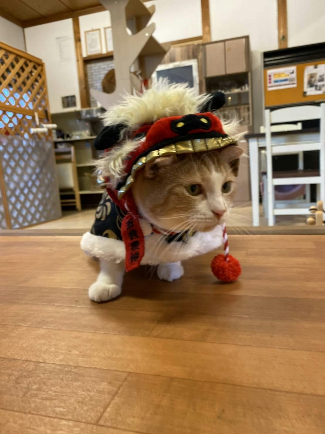 3番目のメイン画像