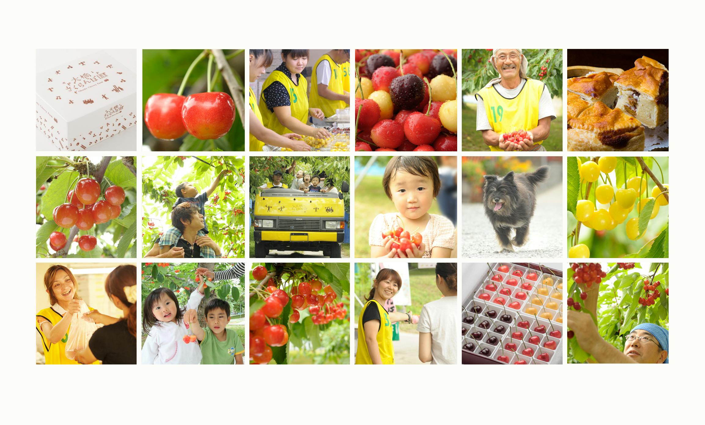 5番目のメイン画像