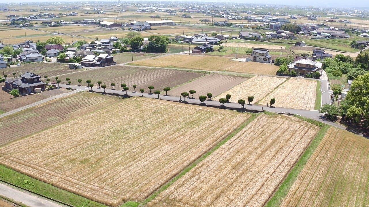 2番目のメイン画像