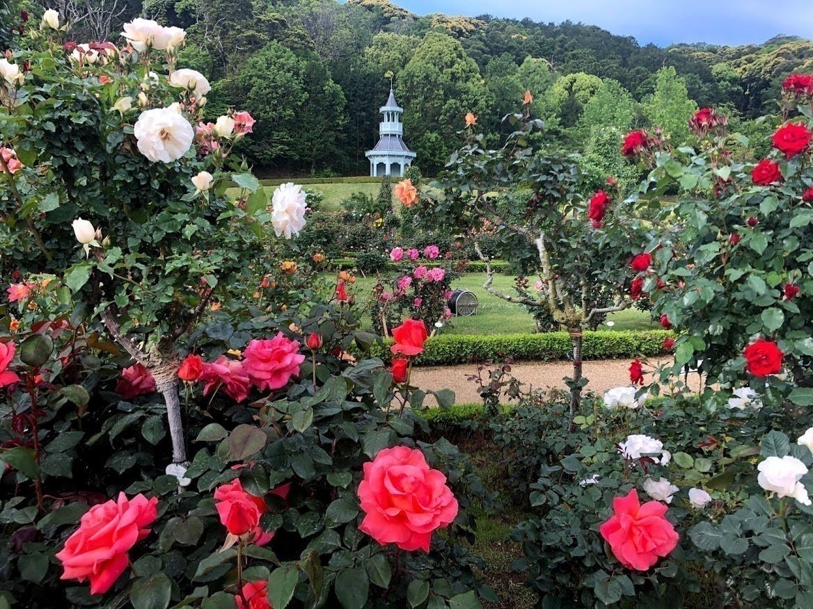 4番目のメイン画像