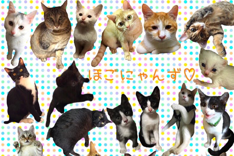 1番目のメイン画像