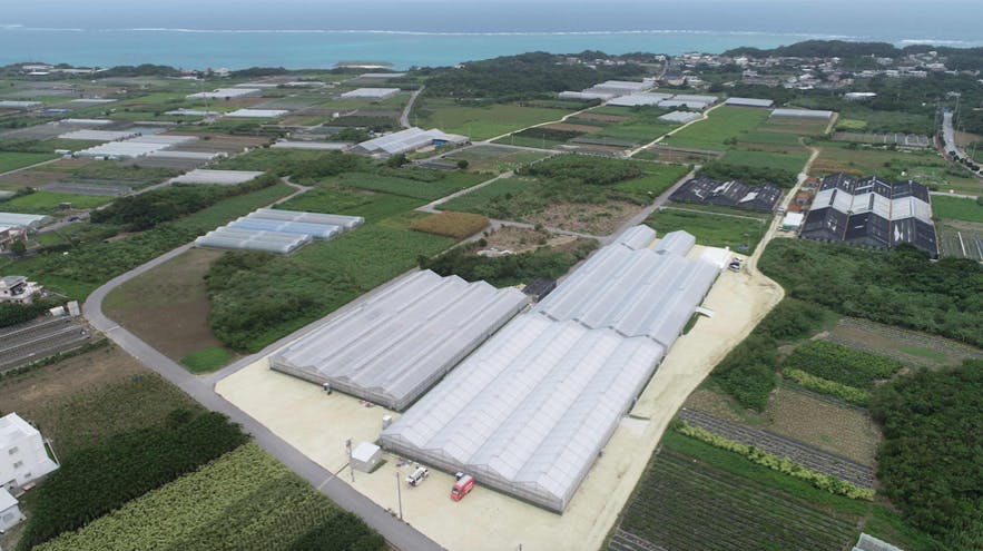 3番目のメイン画像