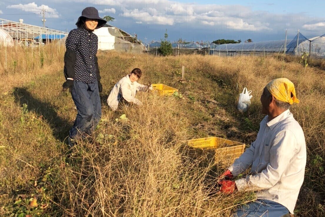 5番目のメイン画像