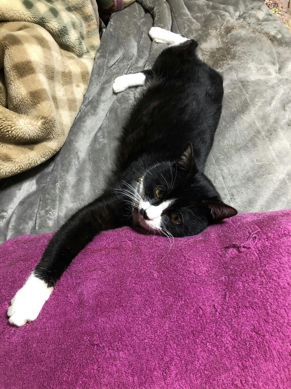 5番目のメイン画像