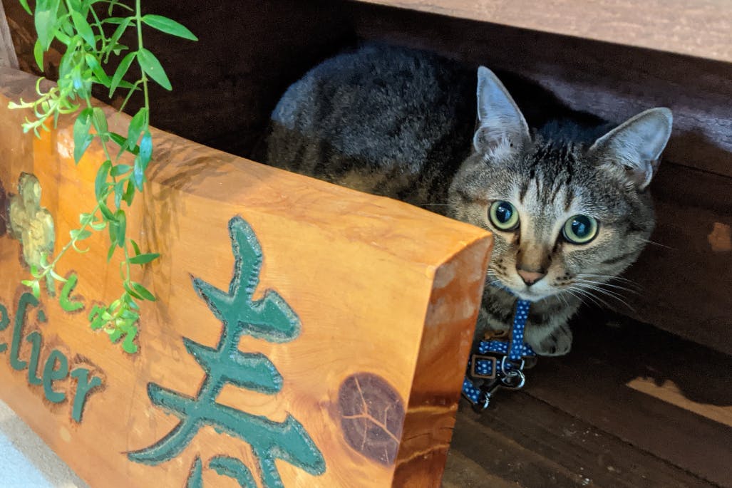 1番目のメイン画像