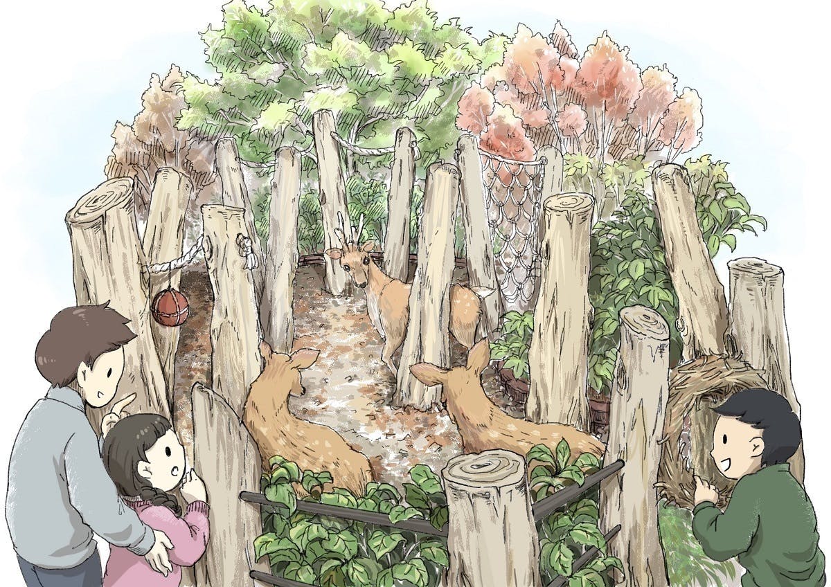 2番目のメイン画像