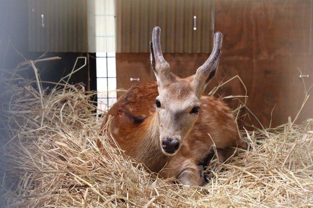 3番目のメイン画像