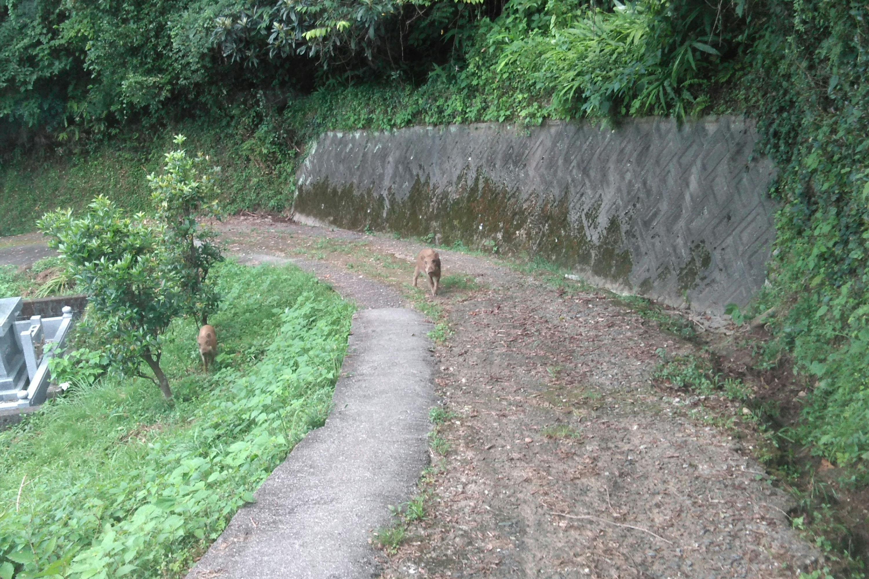 3番目のメイン画像