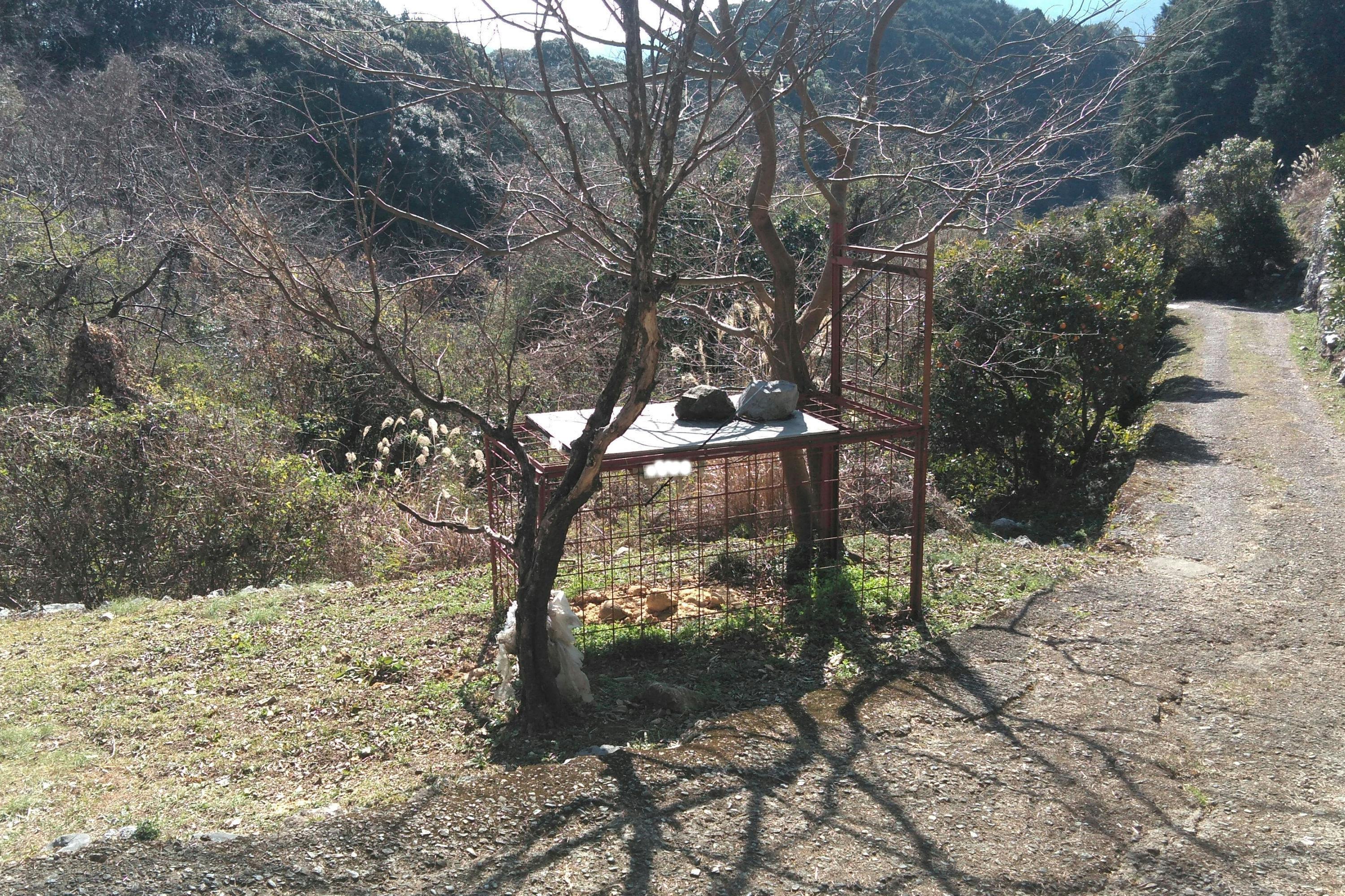 2番目のメイン画像