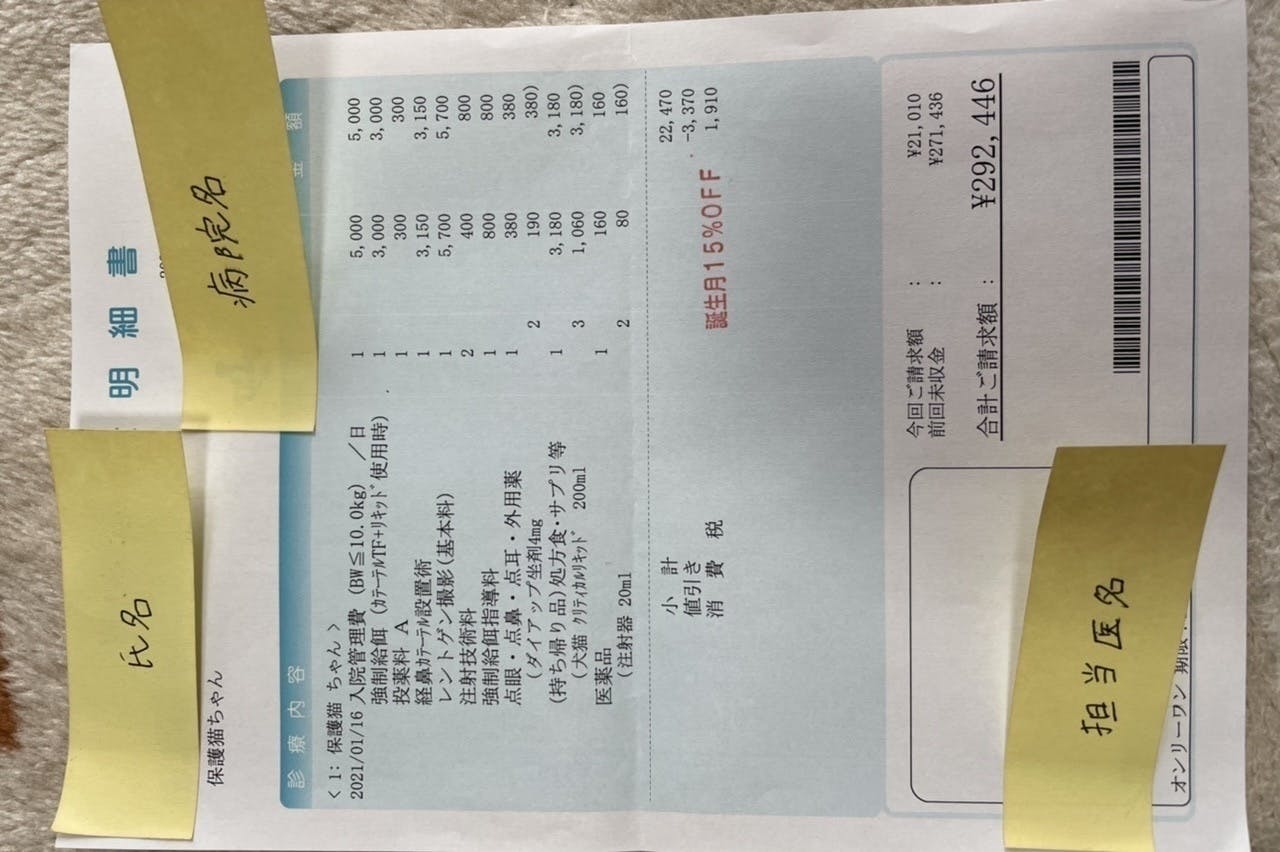 5番目のメイン画像