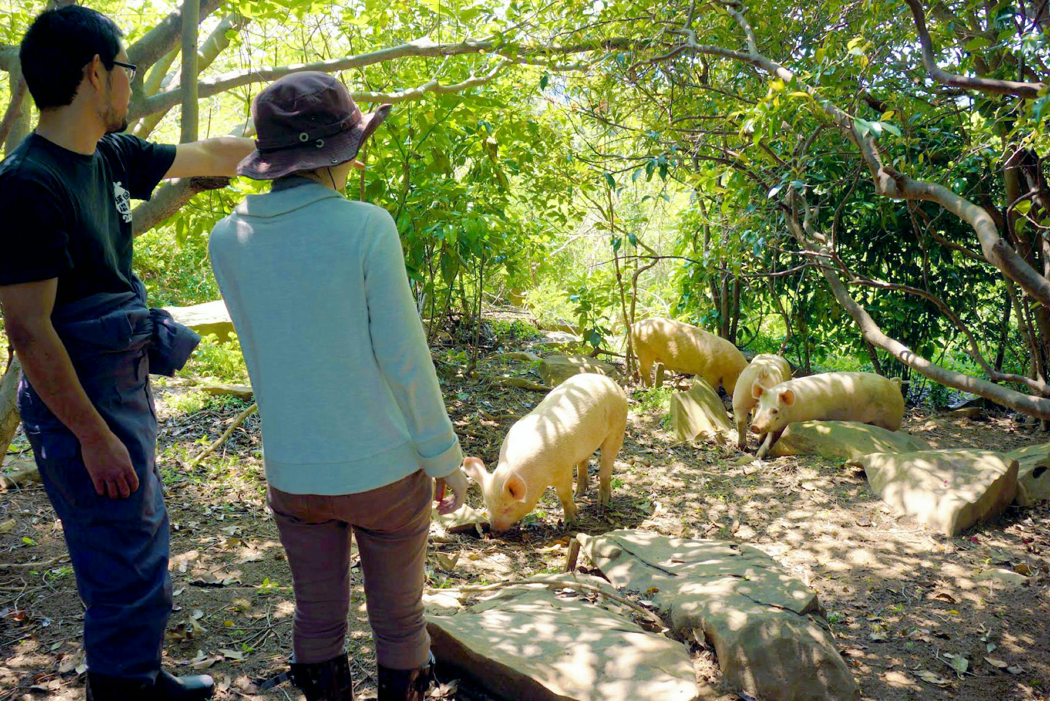 4番目のメイン画像