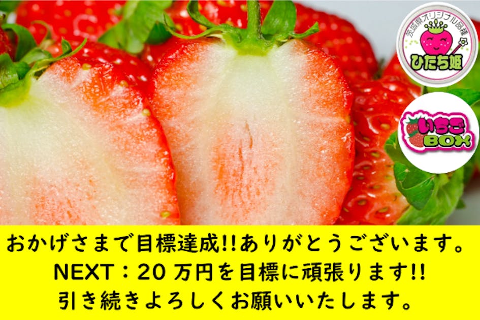 おうち時間で食べて消費してほしい！茨城オリジナルいちご「ひたち姫