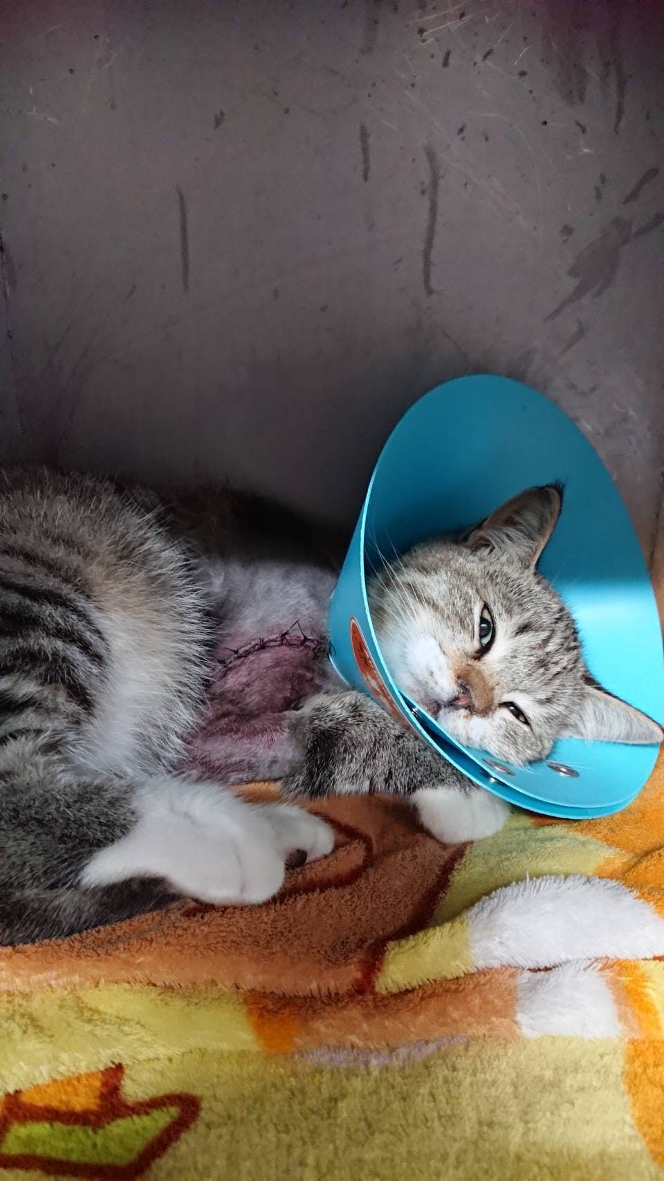 2番目のメイン画像