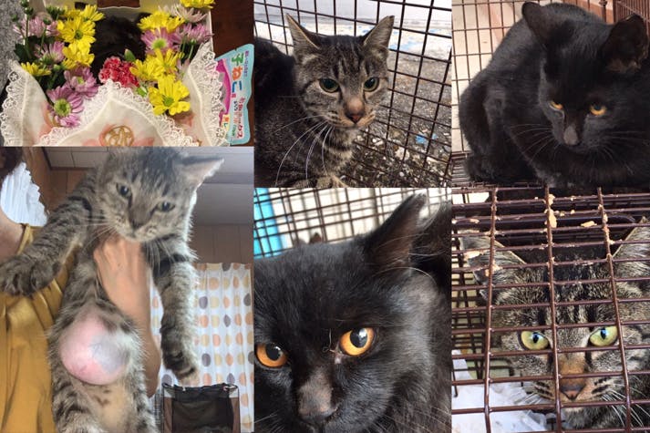 1番目のメイン画像