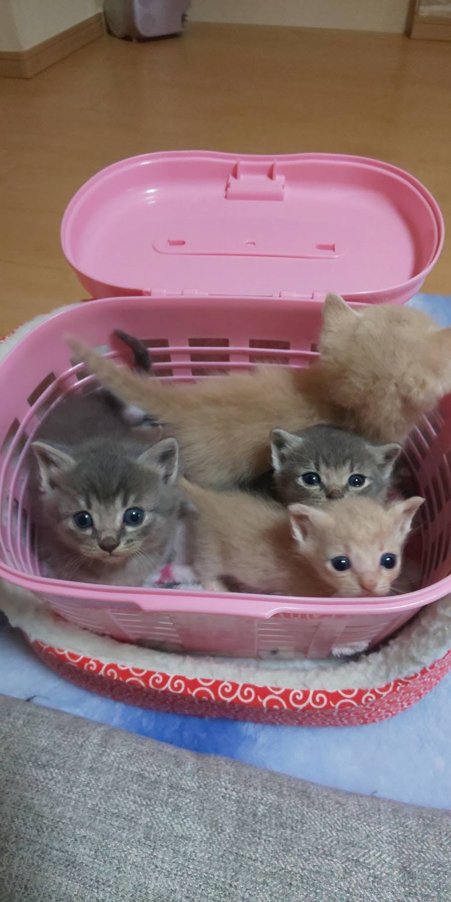 3番目のメイン画像