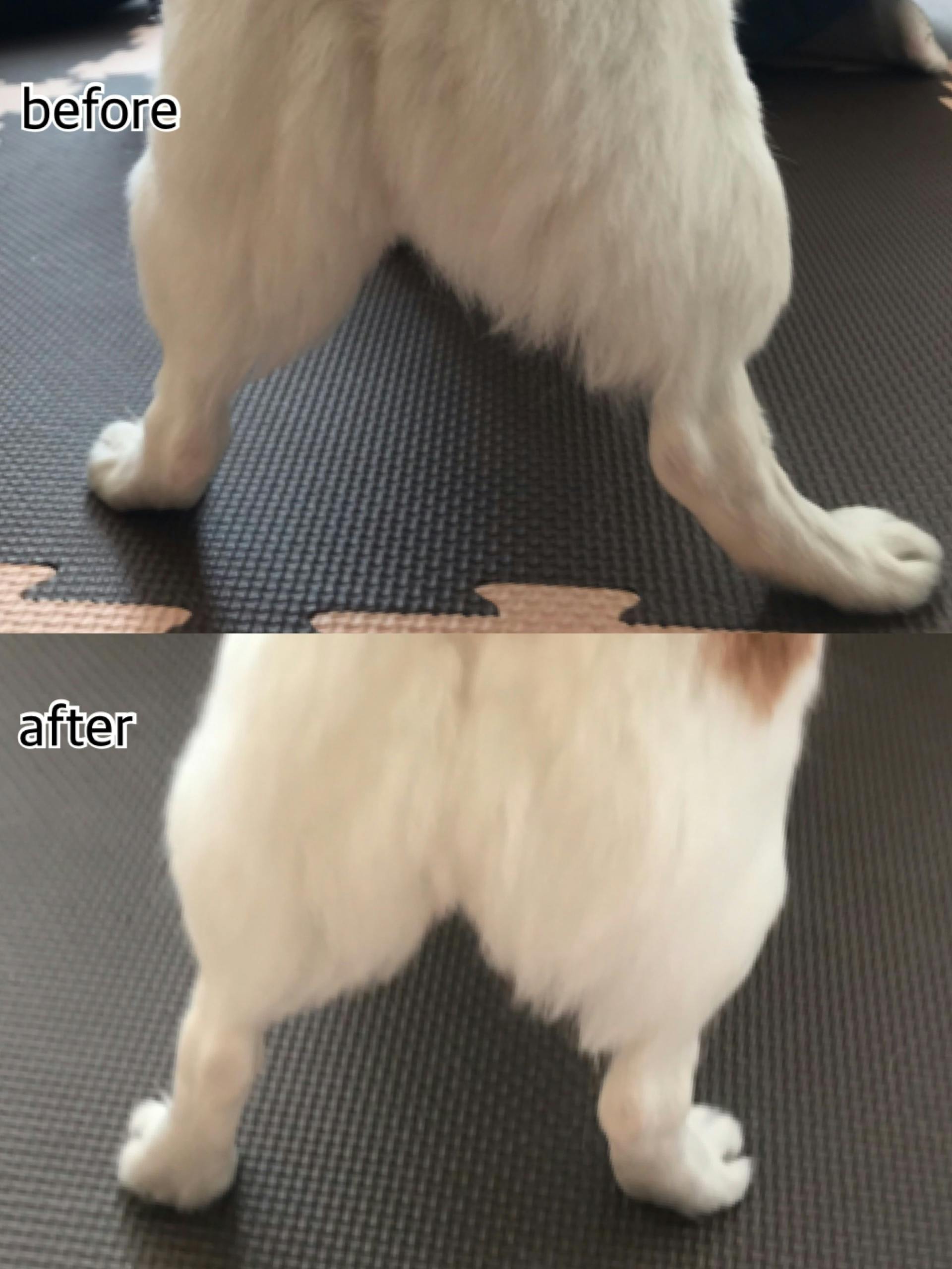 5番目のメイン画像