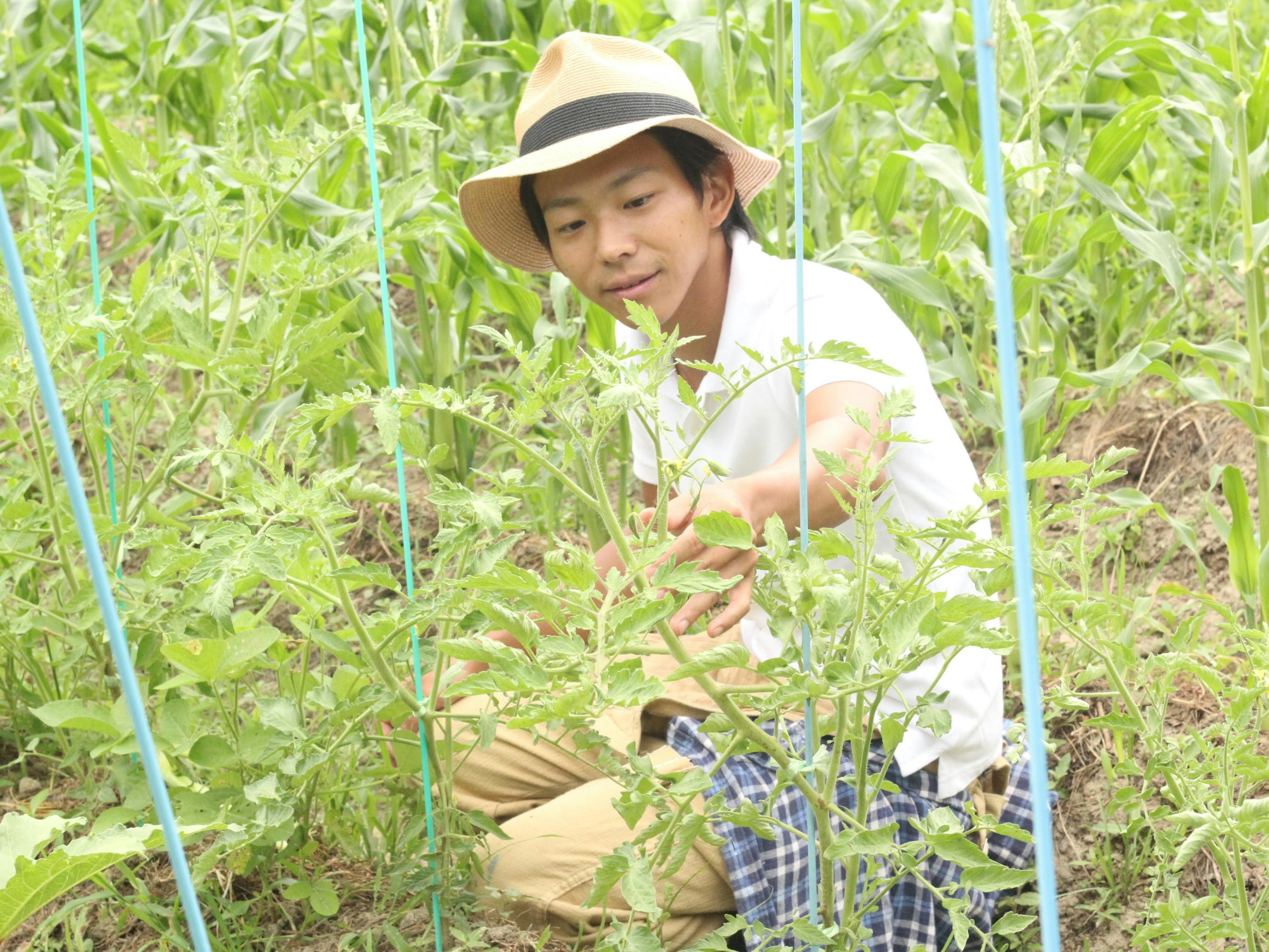 2番目のメイン画像