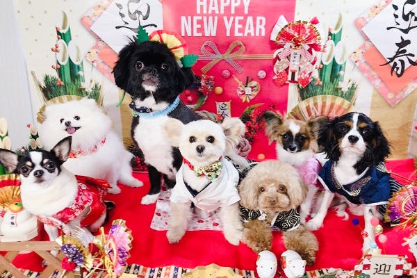 1番目のメイン画像