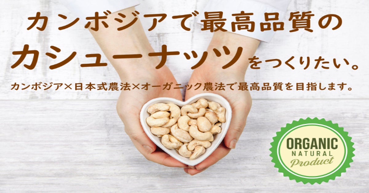 カンボジアで最高品質のカシューナッツをつくりたい！ - CAMPFIRE 