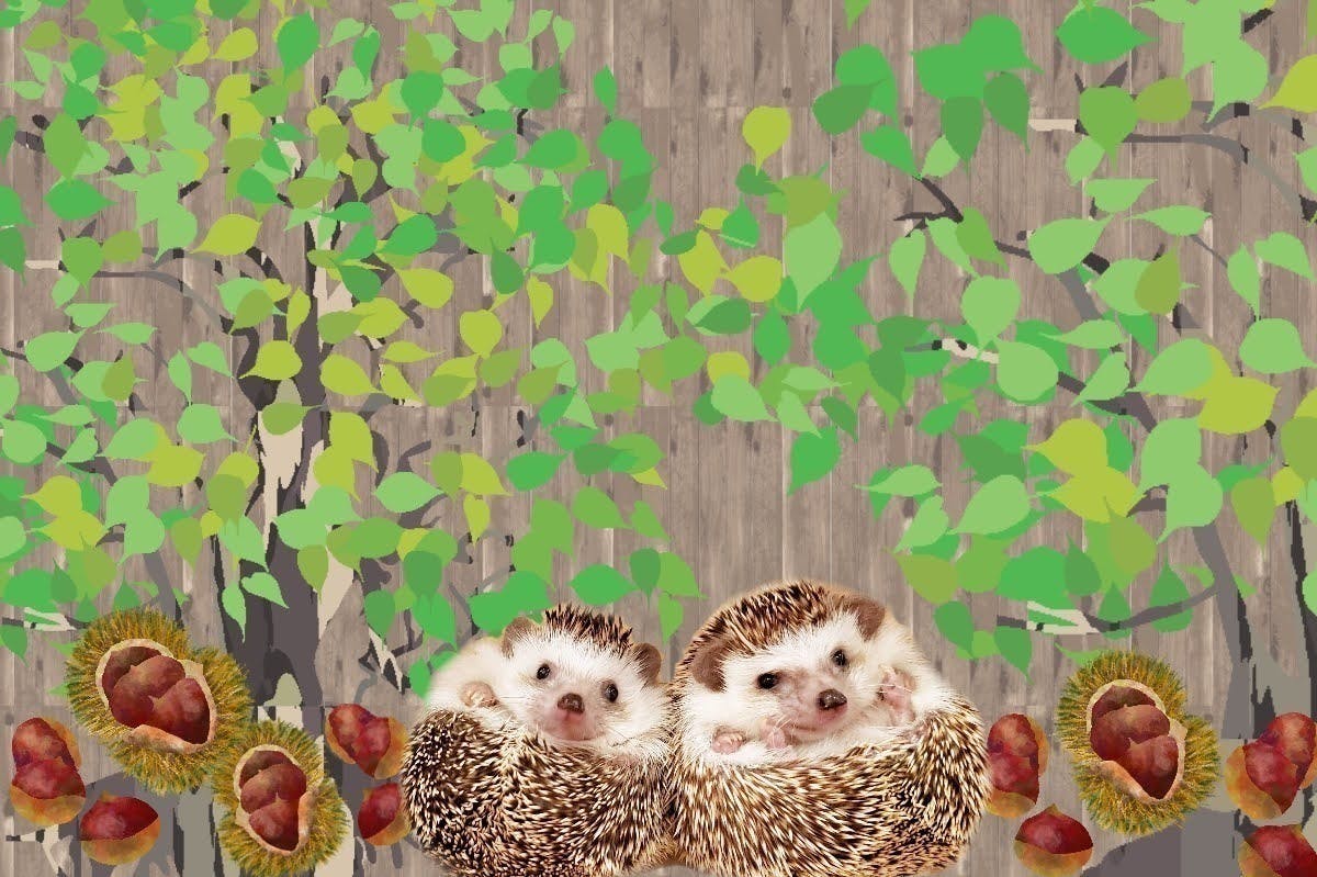 4番目のメイン画像