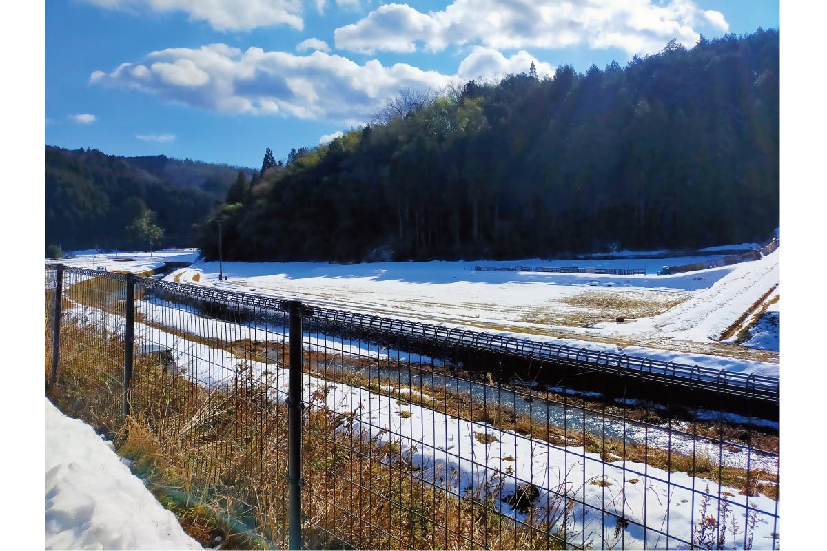 2番目のメイン画像