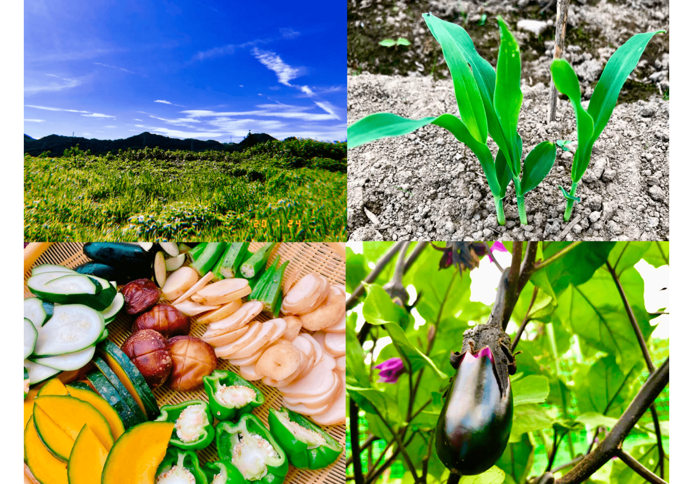 4番目のメイン画像