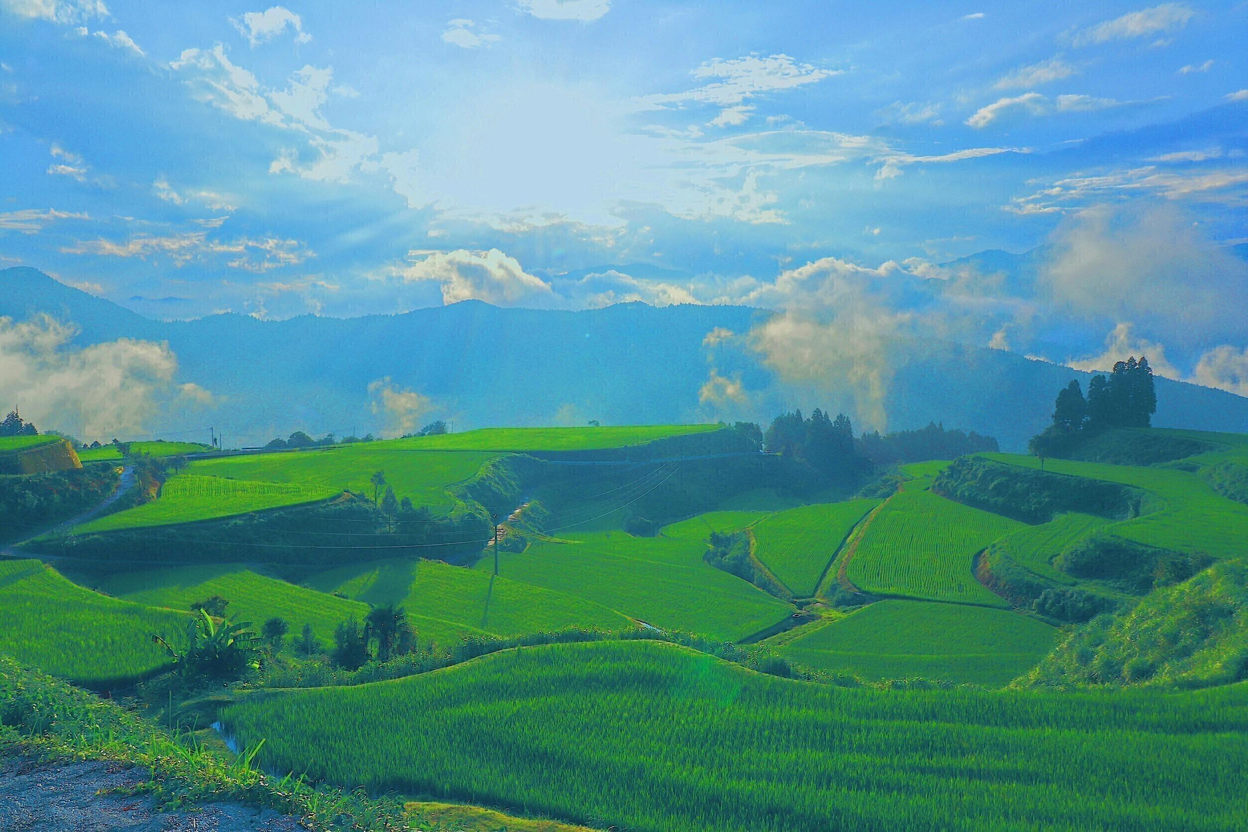 2番目のメイン画像