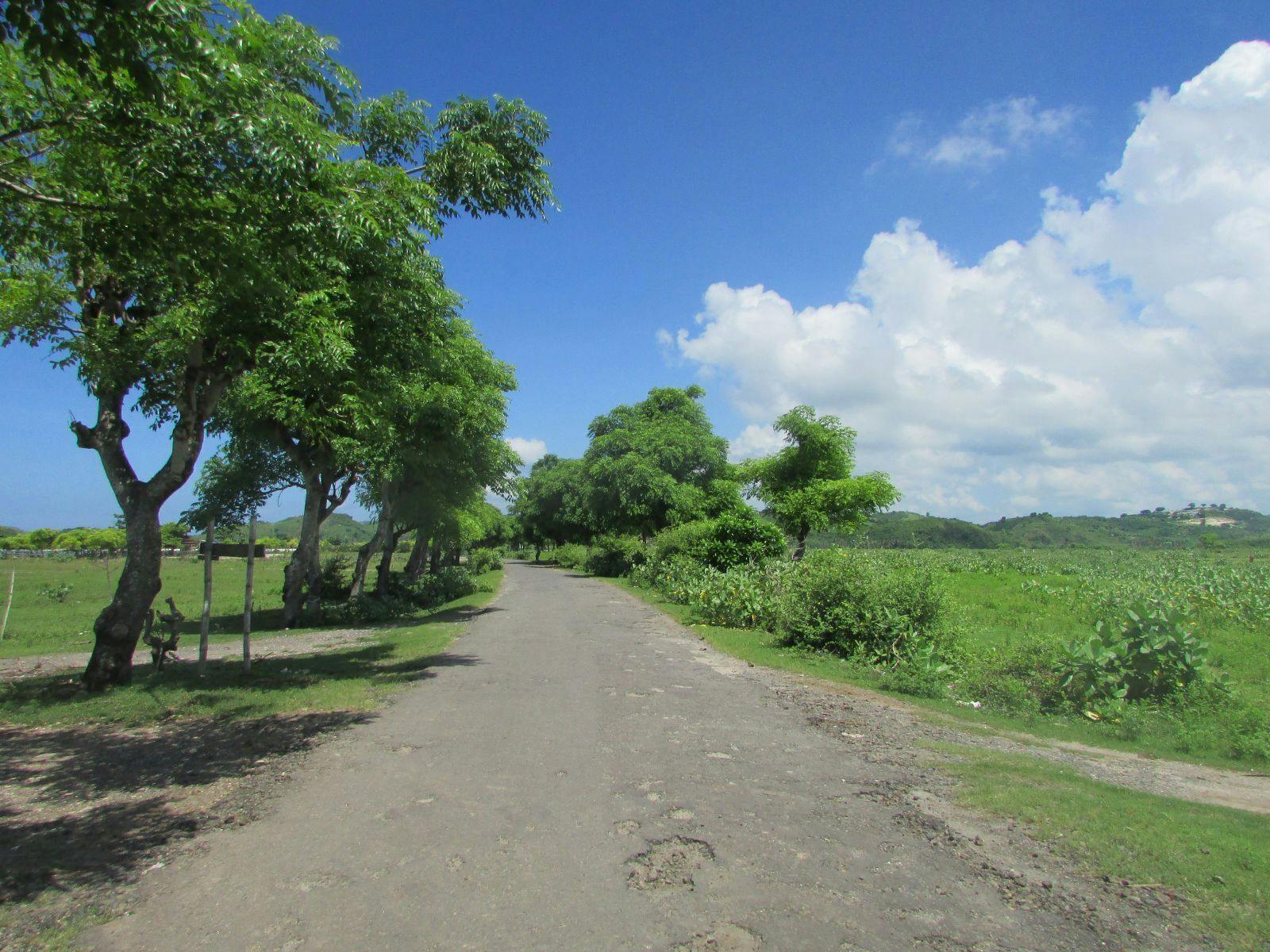 4番目のメイン画像