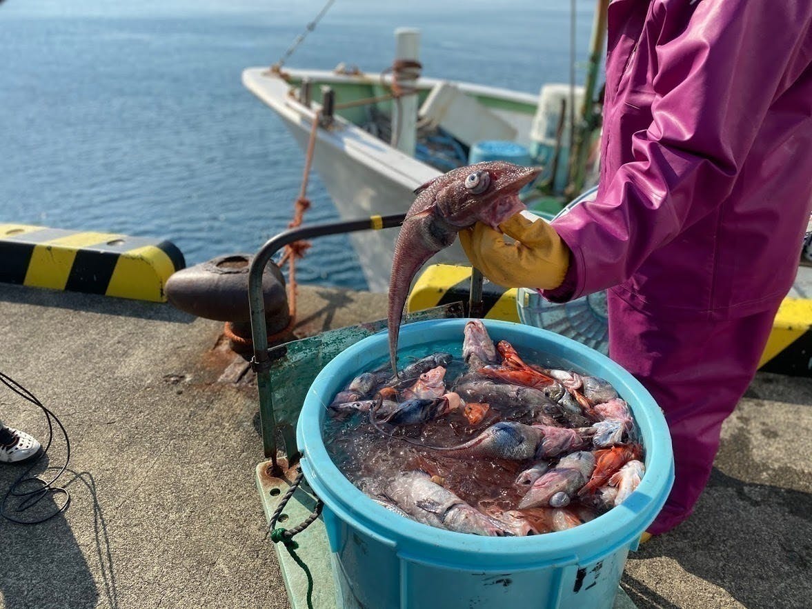 4番目のメイン画像