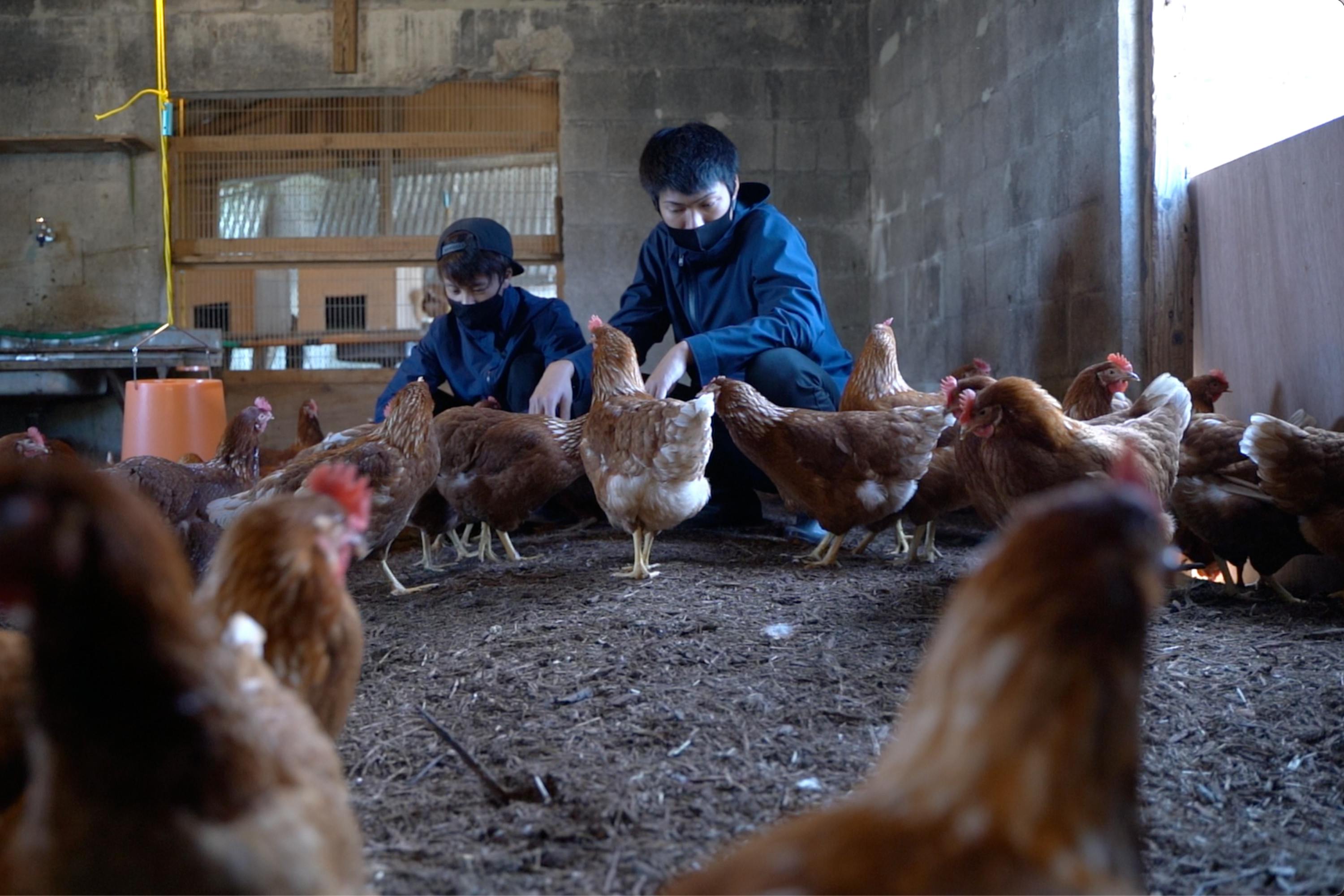 4番目のメイン画像