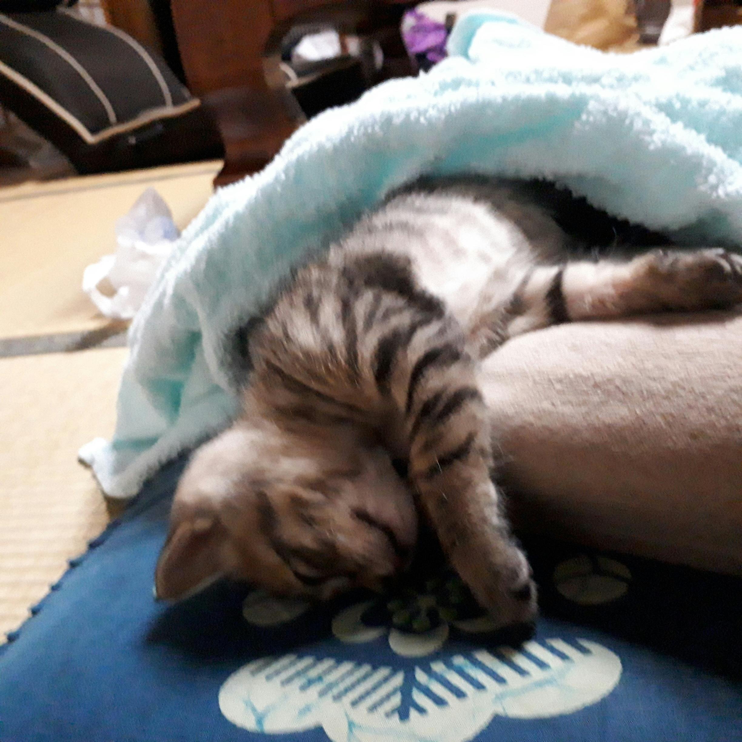 5番目のメイン画像