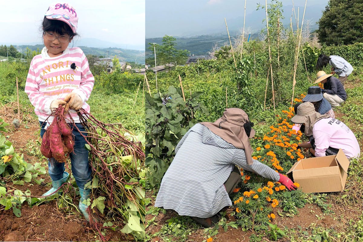 5番目のメイン画像