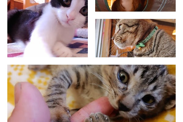 1番目のメイン画像