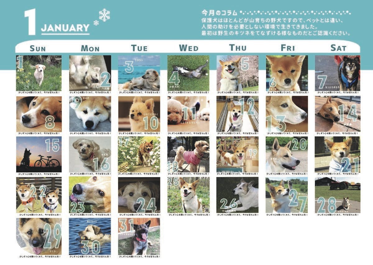 2番目のメイン画像