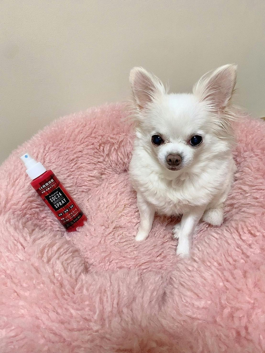 5番目のメイン画像