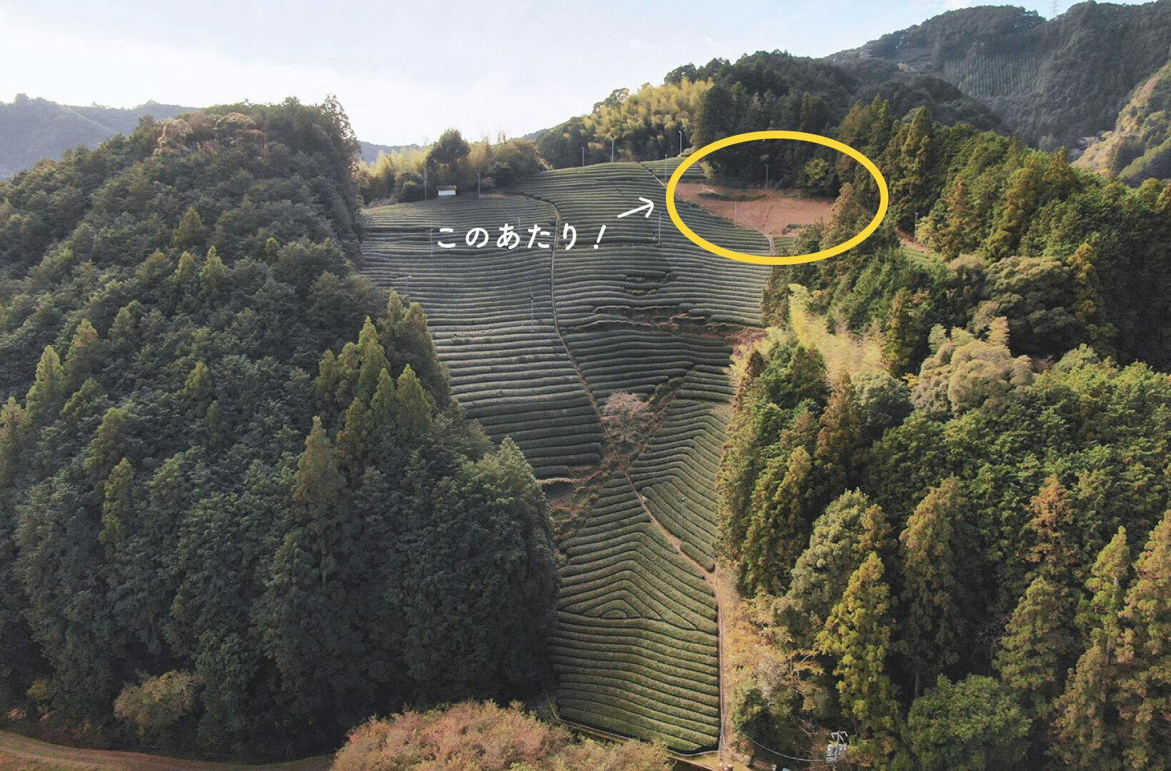 3番目のメイン画像