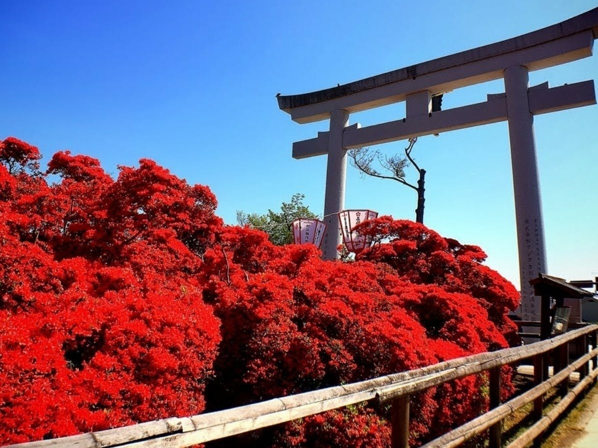 4番目のメイン画像