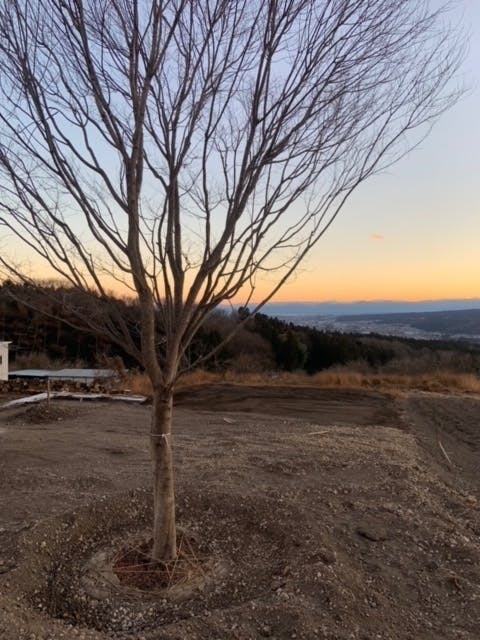 3番目のメイン画像