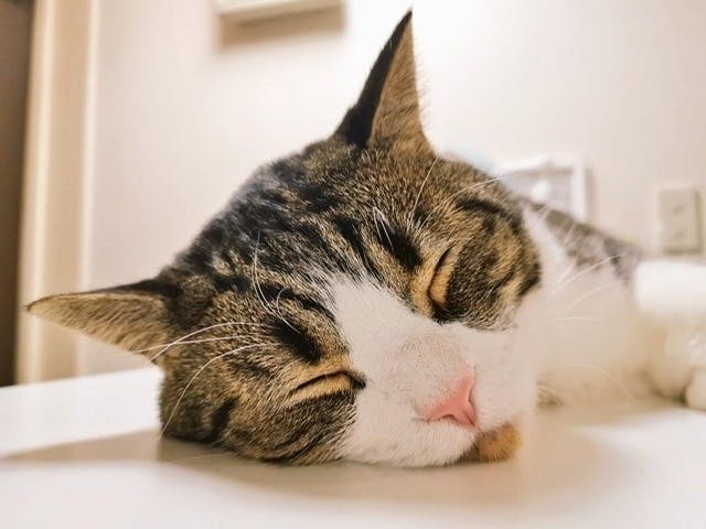 5番目のメイン画像