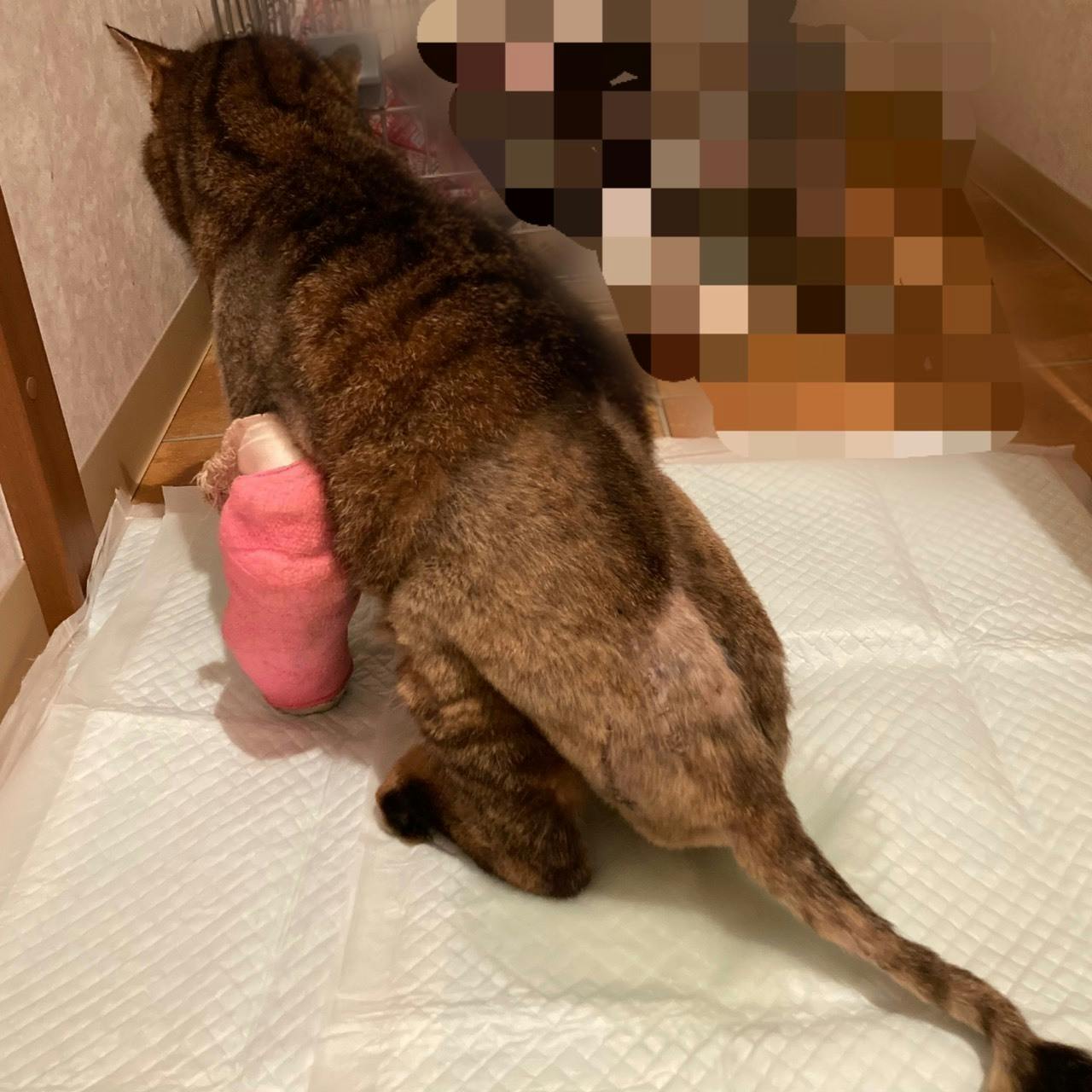 2番目のメイン画像