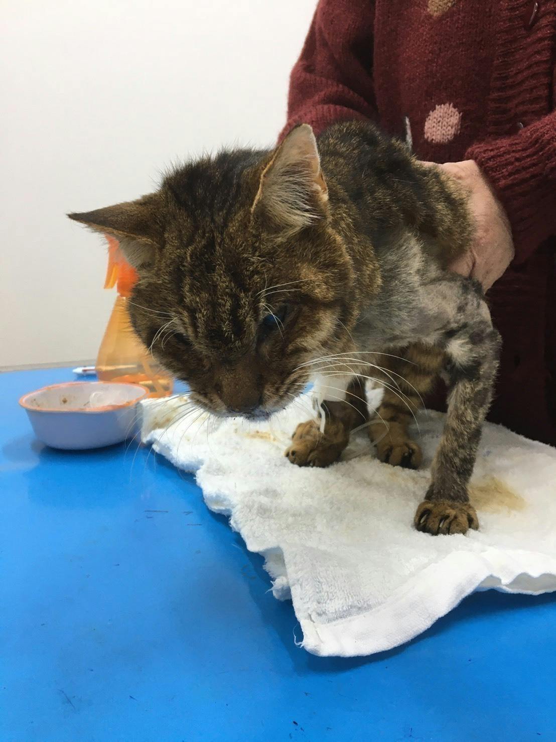 4番目のメイン画像